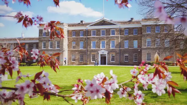 BSc Computer Science (University of Leicester)